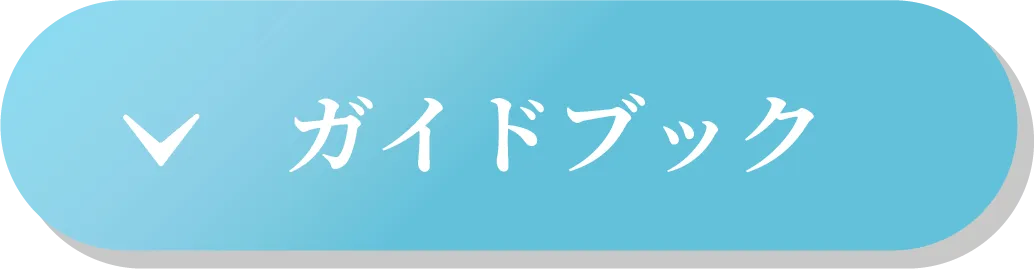 ガイドブック